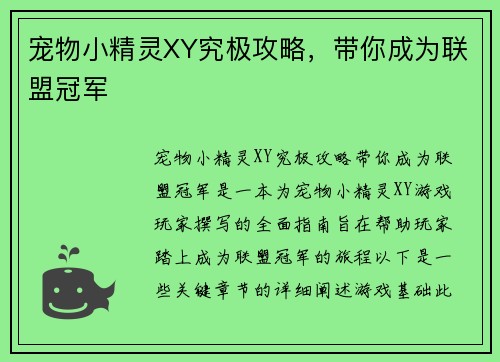 宠物小精灵XY究极攻略，带你成为联盟冠军